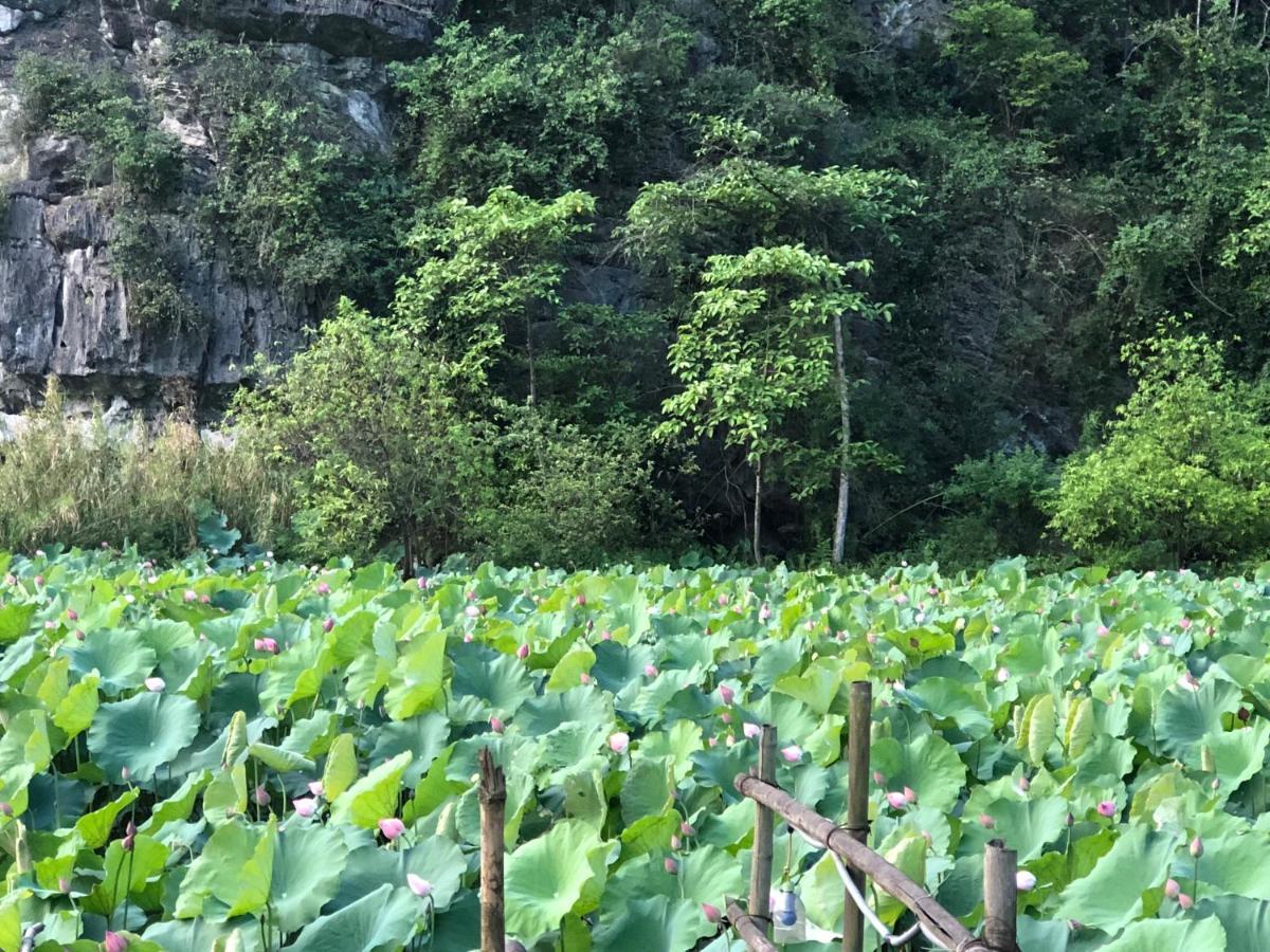 Trang An River View Homestay Ninh Bình Kültér fotó